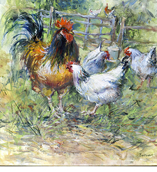 Brown and white hens